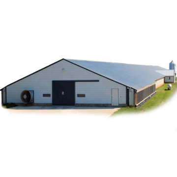 China low cost prefabricated steel structure egg layer chicken poultry farm shed house